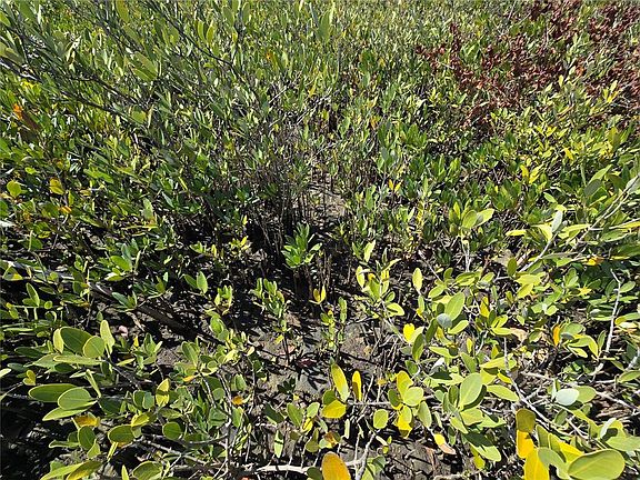 4th image of (Undisclosed Address)