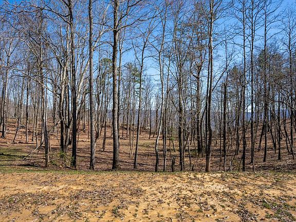 5th image of 3271 River Gorge Dr Unit 963
