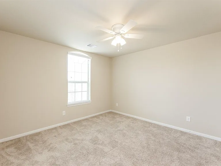16915 Sedum Grn — Photo 23