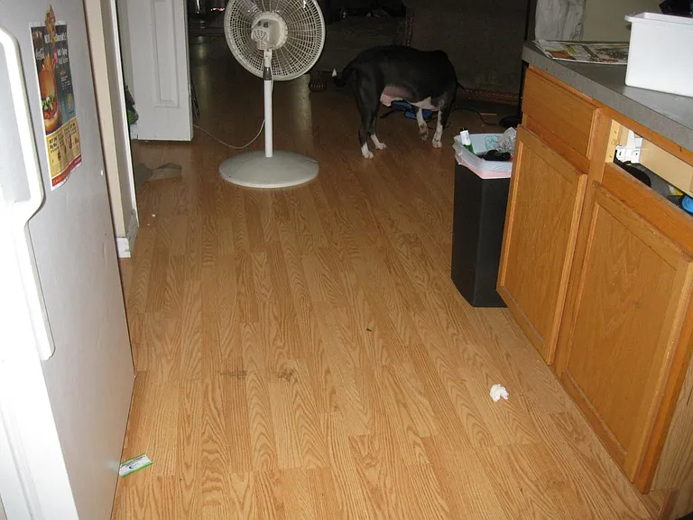 14605 Kristenright Ln — Photo 9