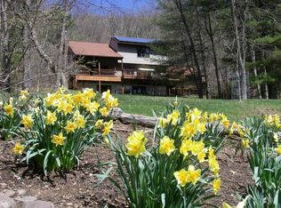 829 N Fork Loop, Green Bank, WV 24944