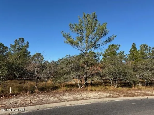 495 Antilla Drive SE, Bolivia, NC 28422