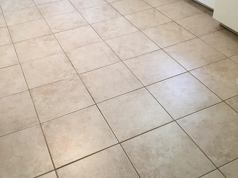 706 Meadow Woods Ln — Photo 11