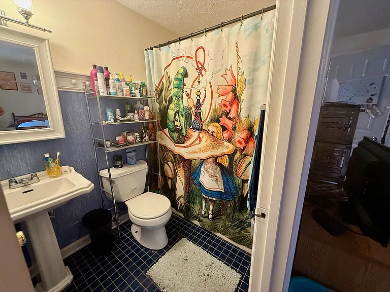 115 Knob Lick Dr — Photo 17