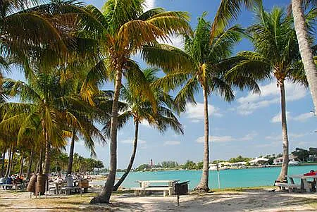 907 Sandy Oaks Dr — Photo 23