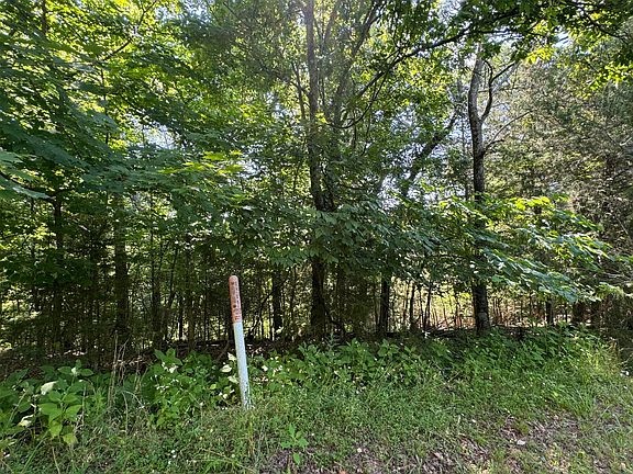 5th image of Oak Hammock Cir