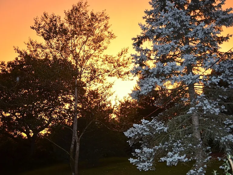 Sunset from the back yard