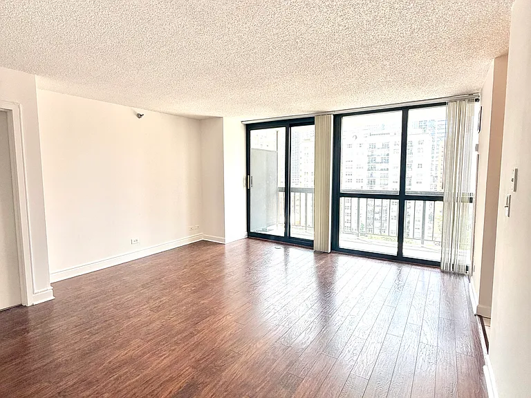 33 W Delaware Pl #14C — Photo 10