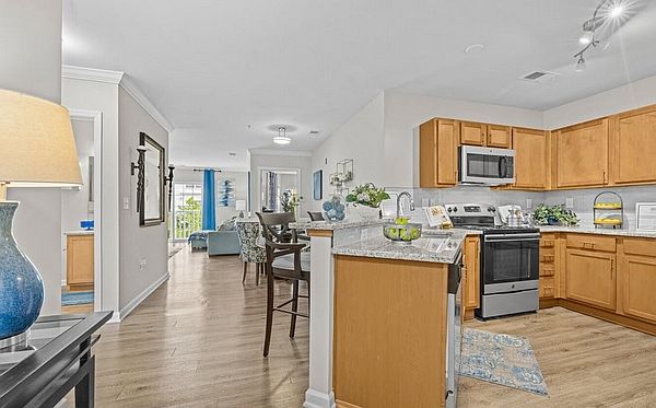 Kitchen/Living Area