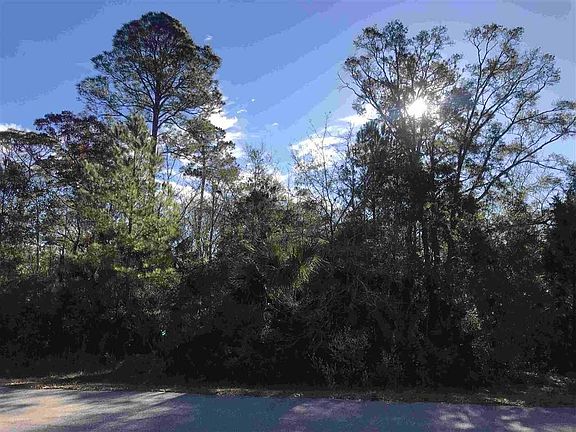3rd image of 18 Sweet Gum Trail St