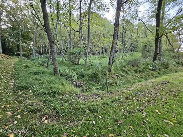 Peach Branch Rd, Benton, PA 17814