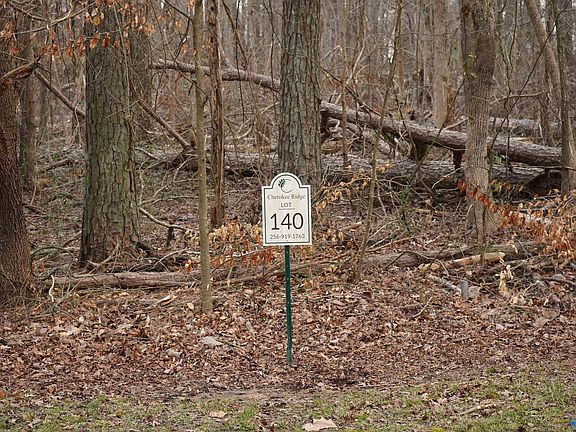 3rd image of LOT 140 Emerald Point