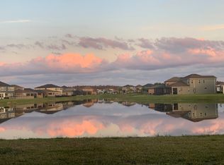 4628 San Martino Dr, Wesley Chapel, FL 33543