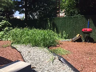 Rented by Bedford Brownstone Realty