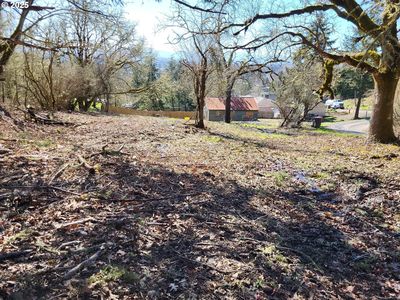 NE Skyline Dr, Sheridan, OR, 97378