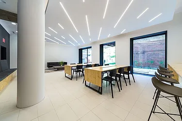 Rented by Bold New York