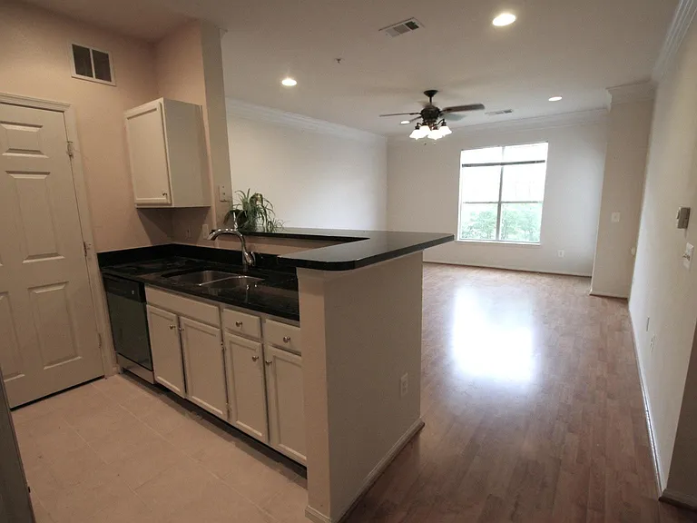 1570 Spring Gate Dr #7209 — Photo 5