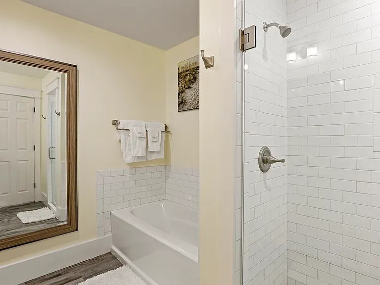 Master Bath Tub & Shower