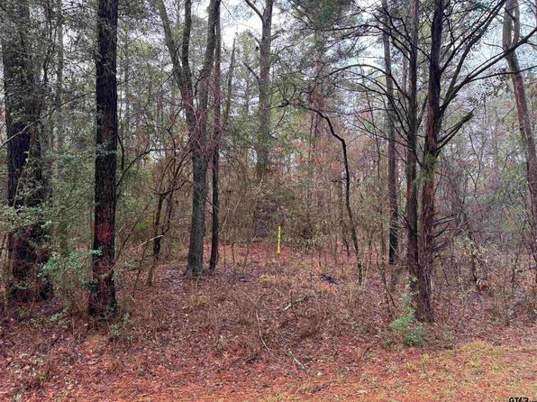 County Road 240 N, Henderson, TX 75652