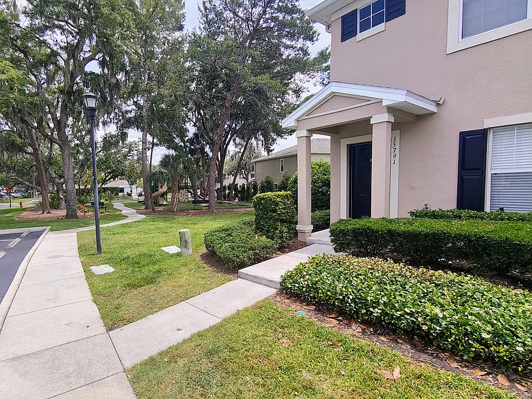 15737 Fishhawk Falls Dr — Photo 1