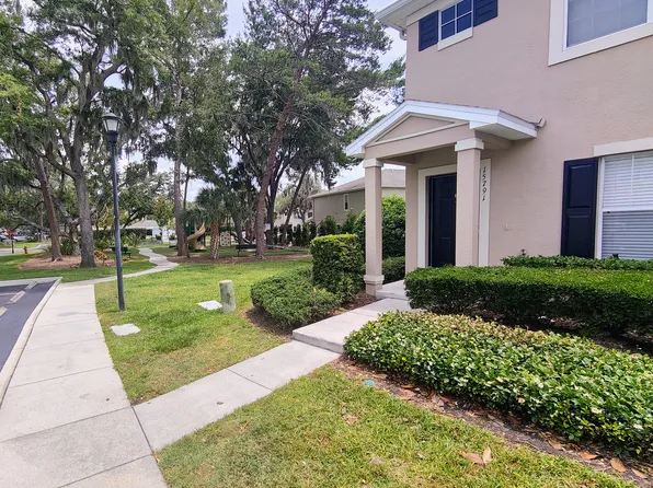 15737 Fishhawk Falls Dr, Lithia, FL 33547