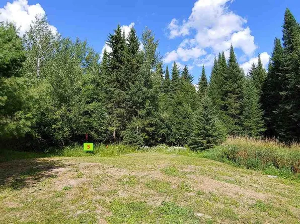 10339-5 Ash River Trl S, Orr, MN 55771