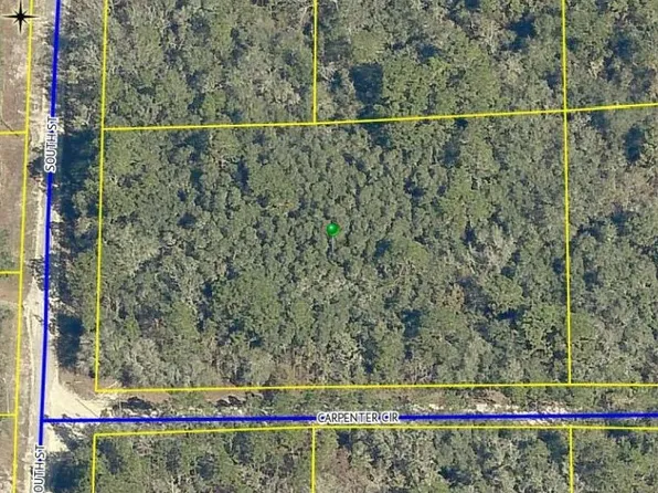 34183 Carpenter Cir, Webster, FL 33597