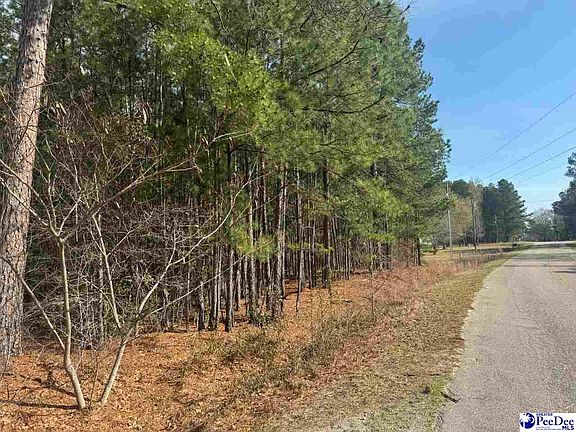 2nd image of Willie Lear Rd