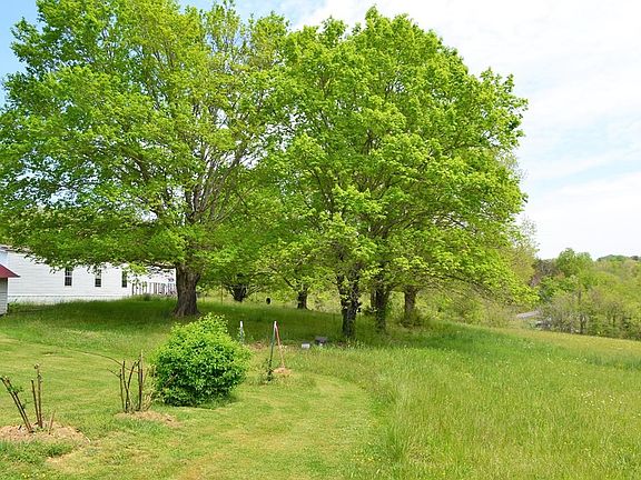 3rd image of 2167 Happy Creek Rd