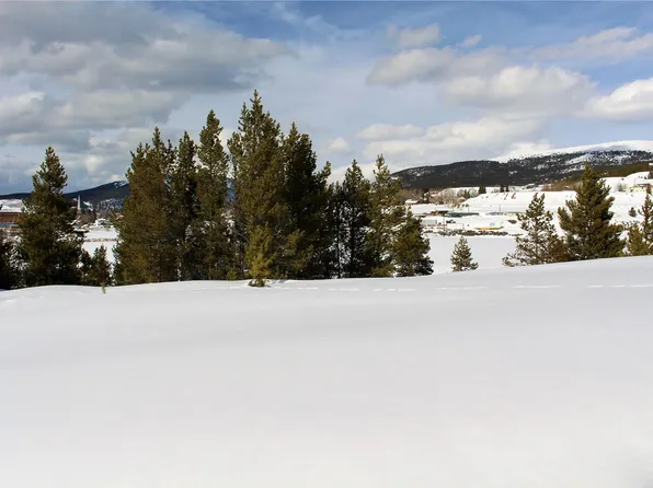 136 Brooklyn Cir, Leadville, CO 80461