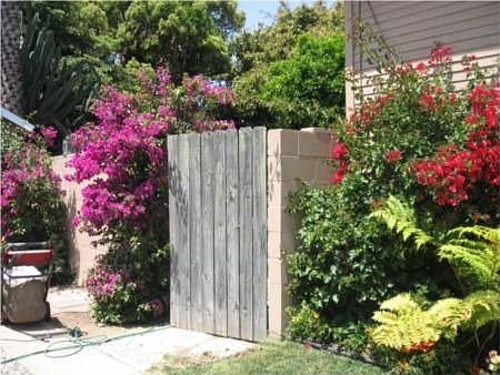 4th image of 1139 N Poinsettia Pl