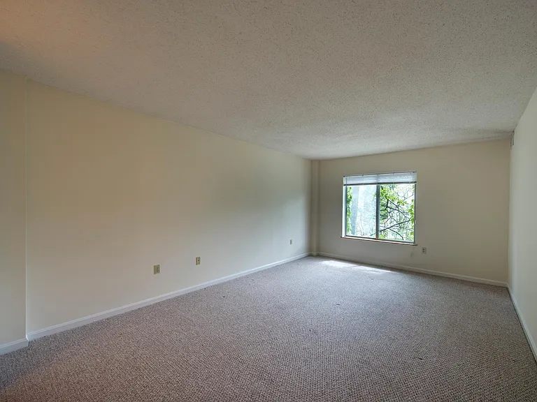 343 Franklin St — Photo 6