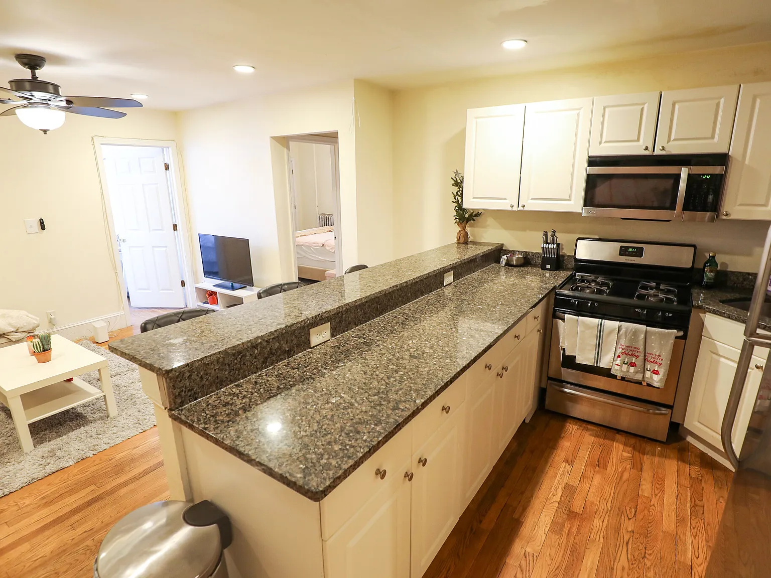 3 bed, 1100 sqft, $5,050 — Photo 3