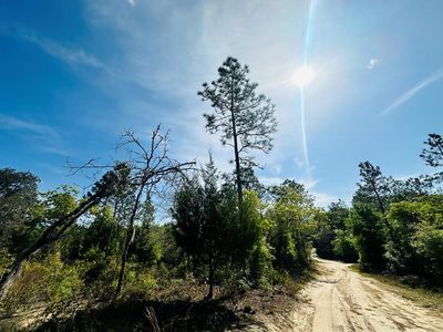 0000 NE 52nd Pl, Williston, FL, 32696