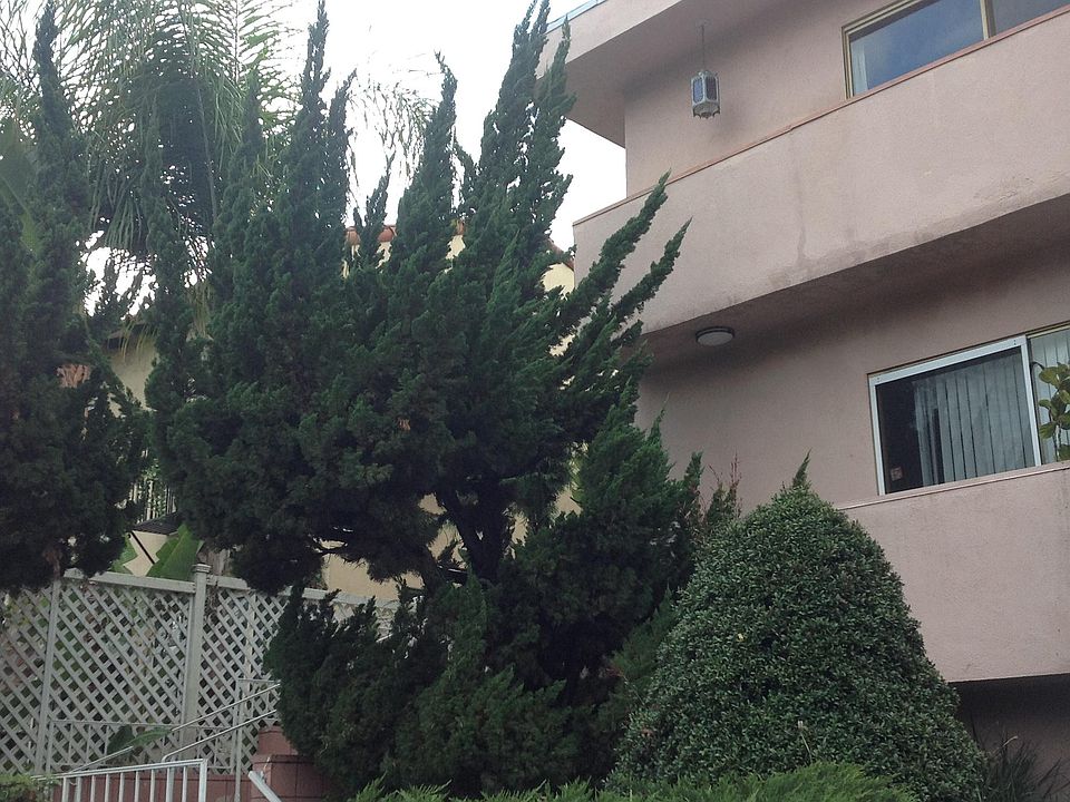 1st image of 1125 Rexford Dr APT 6