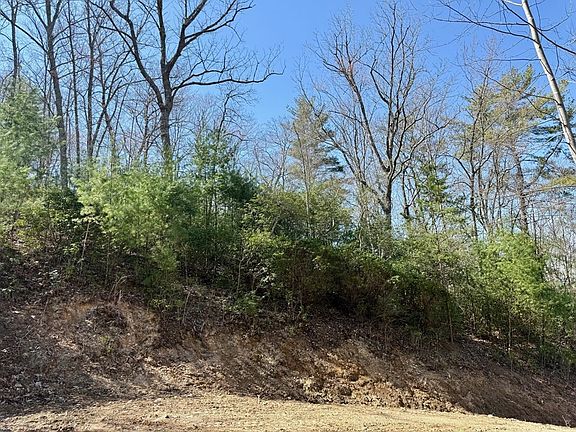 4th image of LOT 3 Wild Laurel