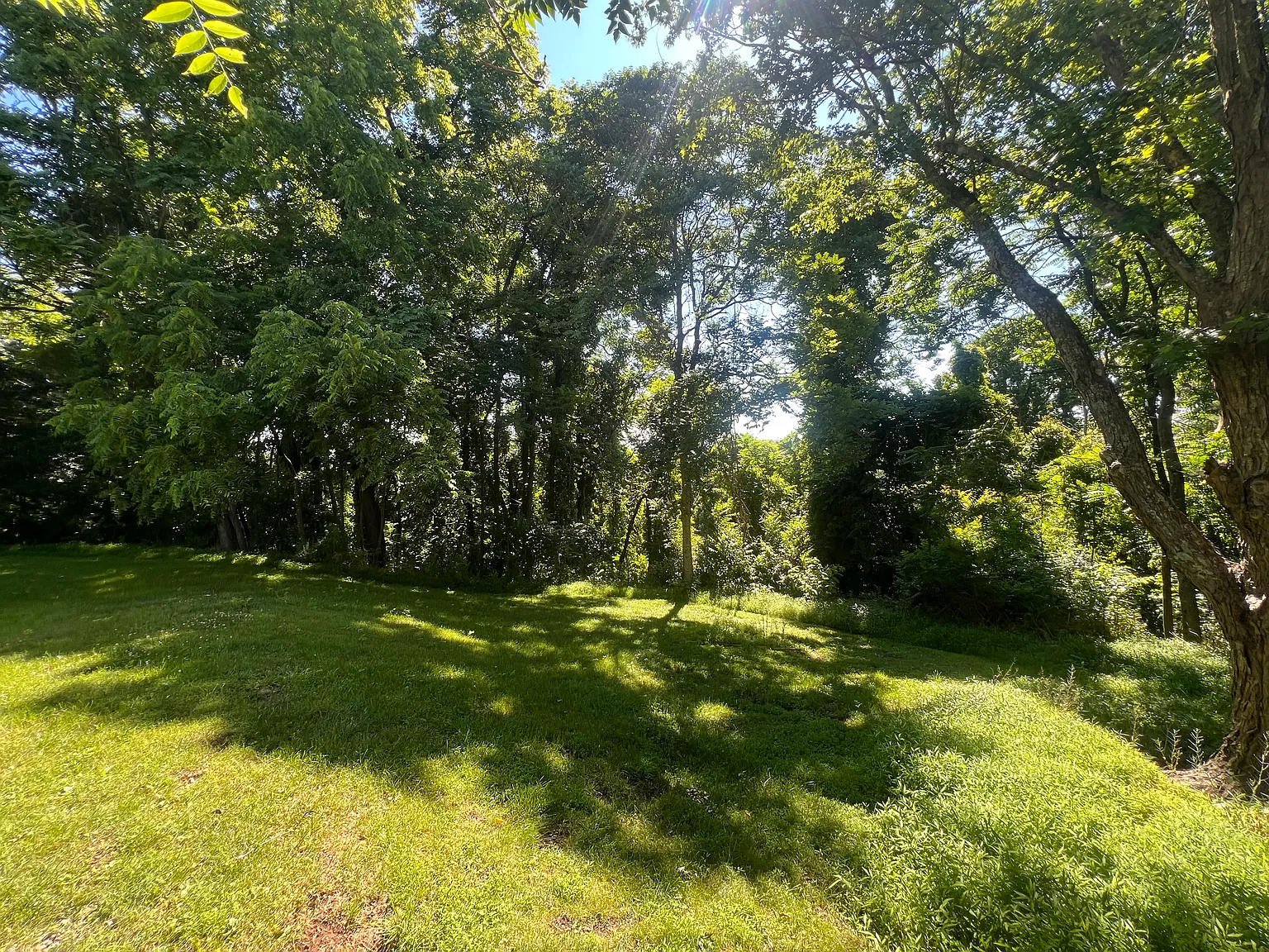 2 bed, 650 sqft, $1,450 — Photo 3