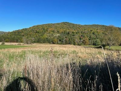 0 Bells Run Rd, Shinglehouse, PA, 16748