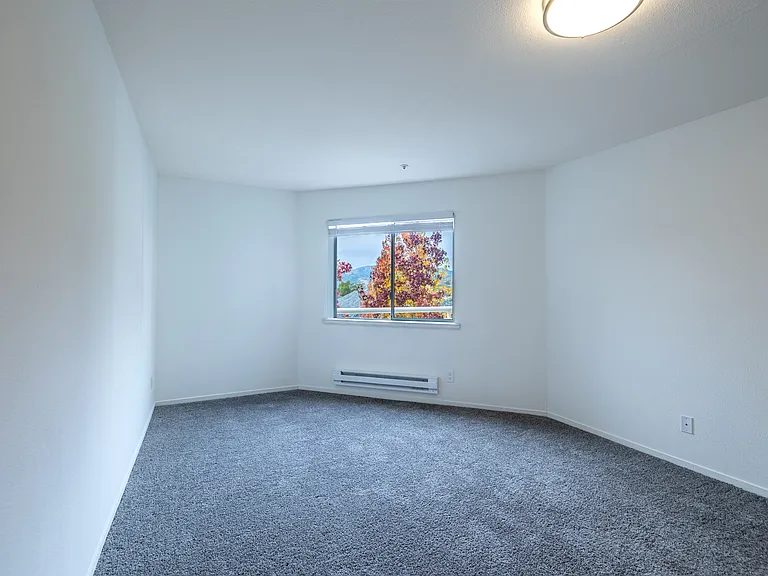 Deer Park Apartments - 95-99 Professional Center Pkwy — Photo 33