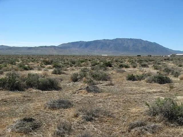 6095 Sage Flat Rd photo 1