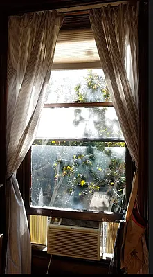 Rented by Bien Realty Ltd | media 19