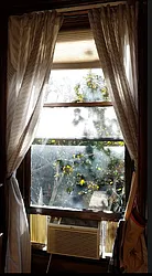 Rented by Bien Realty Ltd