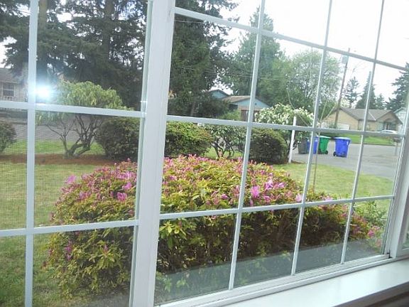 Large Windows