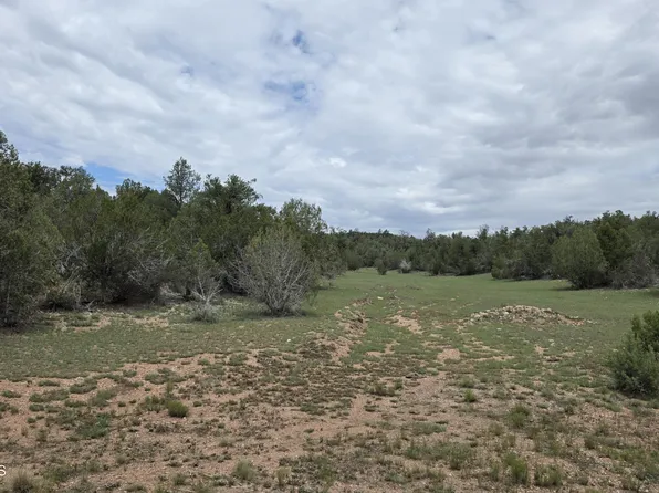 0 N Halcon Ln, Seligman, AZ 86337