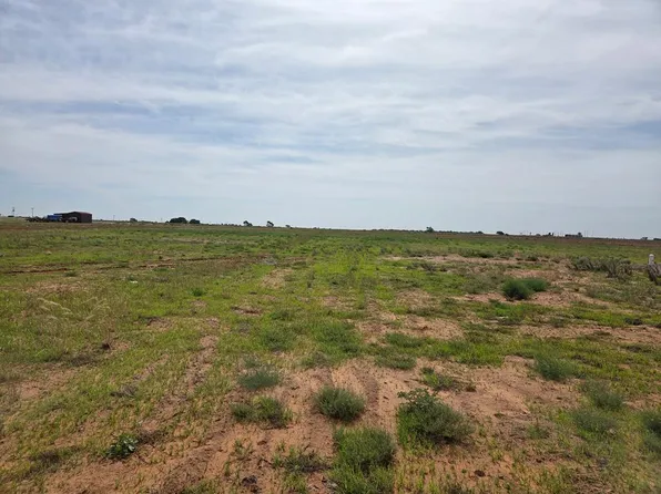 2018 Reinland Rd, Brownfield, TX 79316