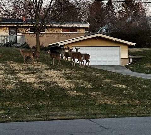 4th image of 2680 Moerland Dr NW