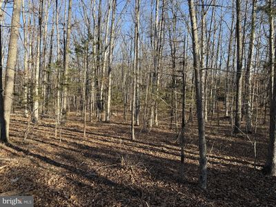 LOT-83A Reliance Rd, Middletown, VA, 22645