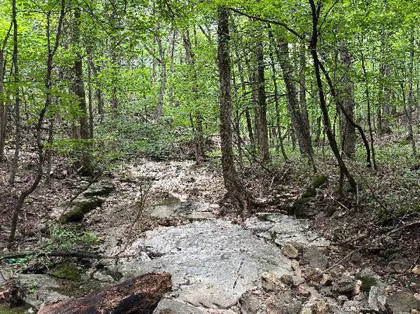 S Hagans Rd, Ashland, MO 65010