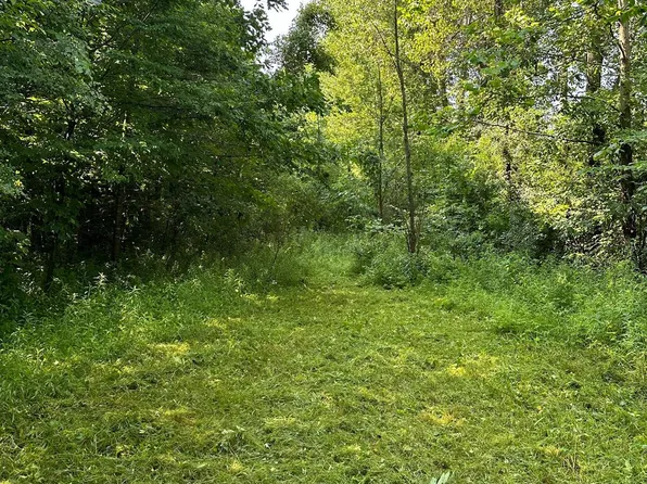 0 Birch Run Rd, Millington, MI 48746