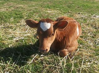 4357 Tolenas Rd, Fairfield, CA 94533